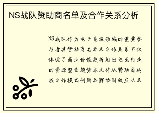 NS战队赞助商名单及合作关系分析